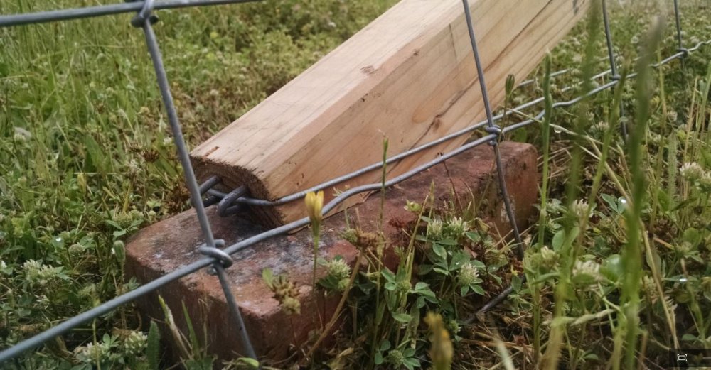 Ideas on fence corners anyone? | Page 4 | BackYardHerds.com