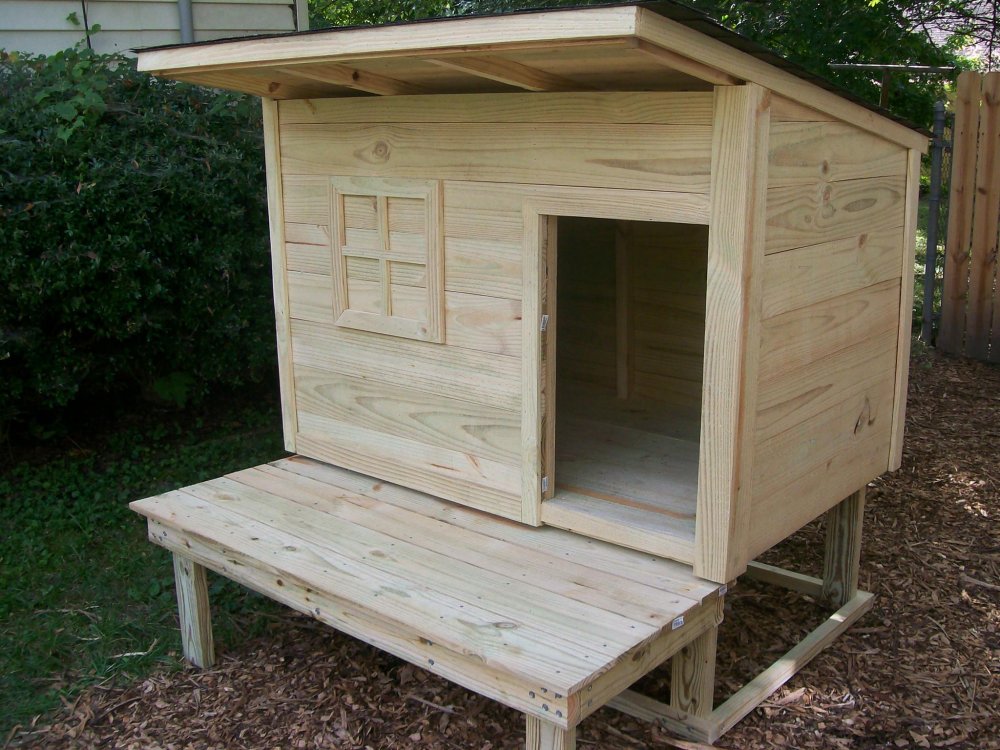 Regular Cleaning And Maintenance Of Goat House