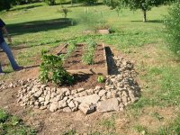 1 Garden box and stone border for peppers June 2016.JPG