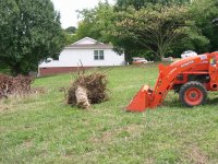 Bradford Pear Stump with Kubota.JPG