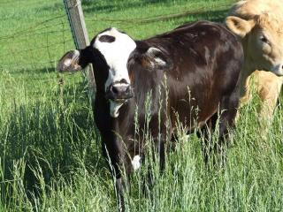 1417_farm_pictures_021.jpg