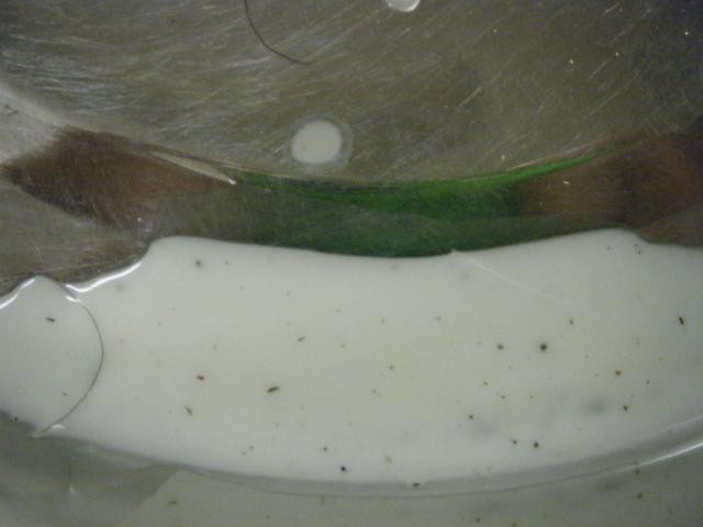 1458_dscf9410.jpg