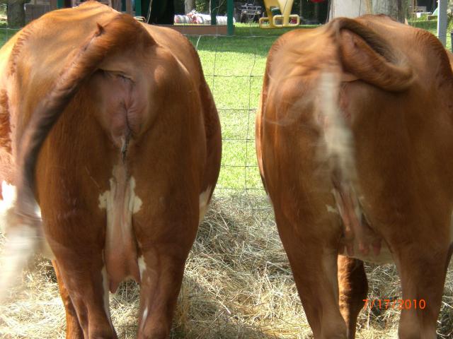 flabbyness to her vagina and just doesn't seem as big as the other two flabbyness to her vagina and just doesn't seem as big as the other two