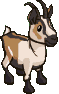 1898_goatie.gif