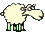 1898_sani_sheep.gif