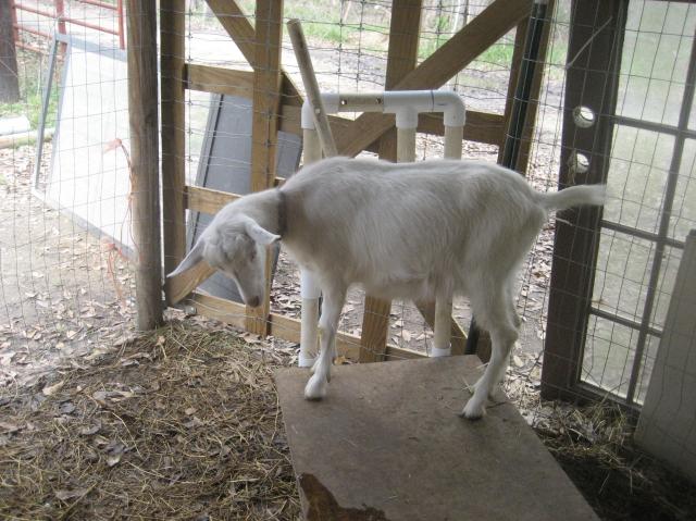 2072_img_1010.jpg