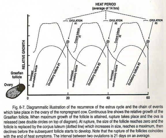 236_scan0007a.jpg