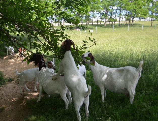 3140_may_203.jpg