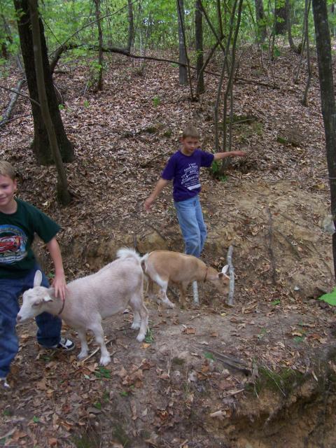 3636_100_5025.jpg