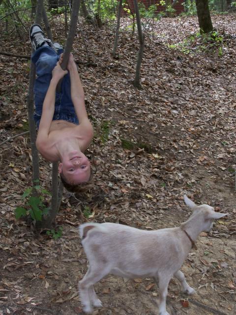 3636_100_5088.jpg