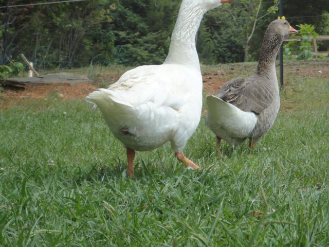 3804_dsc03874.jpg