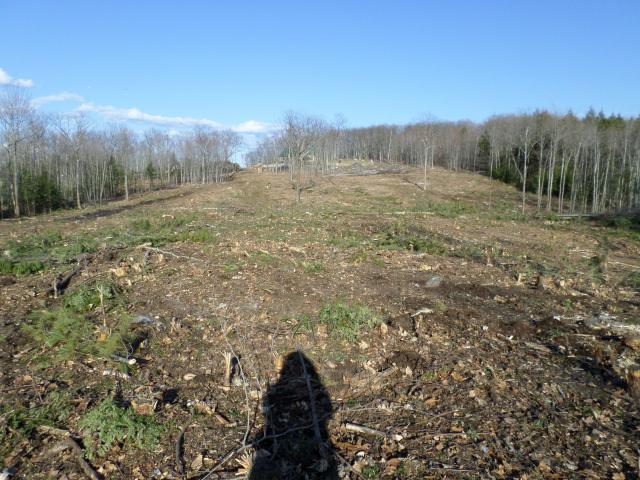 4090_pasture_barn.jpg