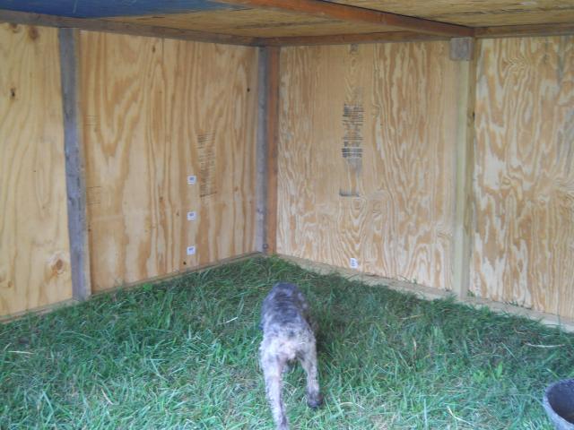 4485_dscn6662.jpg