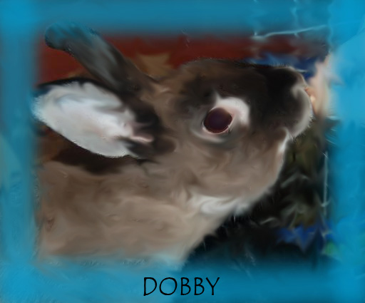 4693_dobby.jpg