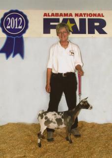 470_2012alanatfairphoto.jpg