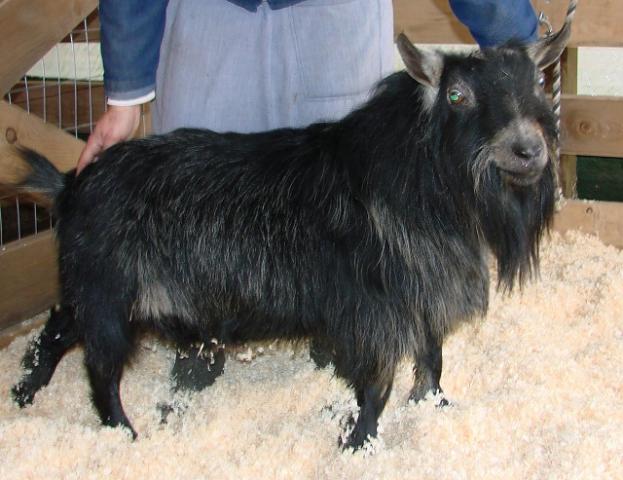 4711_billy3.jpg