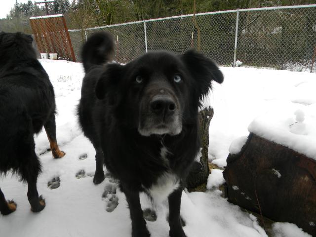 4800_snow_in_march_002.jpg