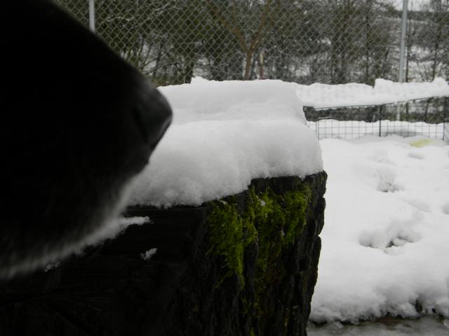 4800_snow_in_march_004.jpg