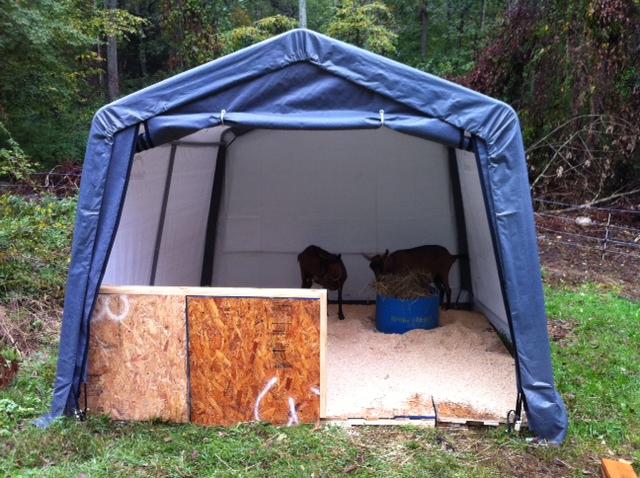 Goat Shelter For Winter Our milking barn and goat