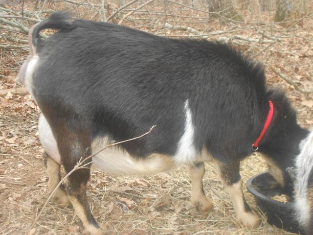 4920_115.jpg