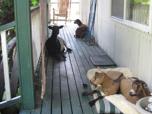 5049_summer_porch_027.jpg