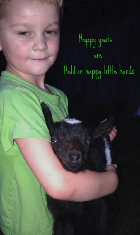 5376_happy_little_hands_.jpg