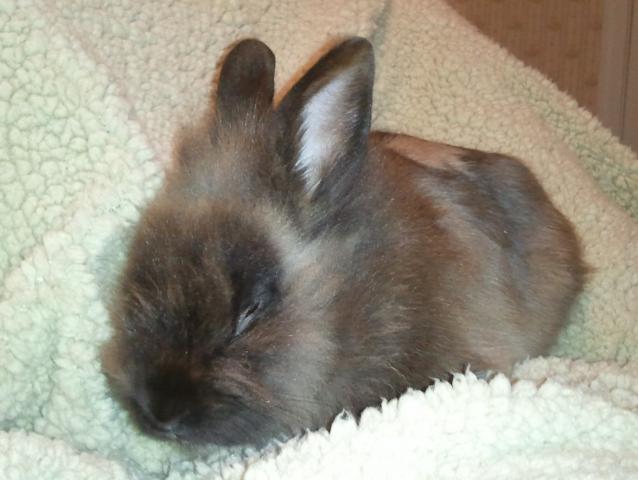 5458_2012-02-02_011540.jpg