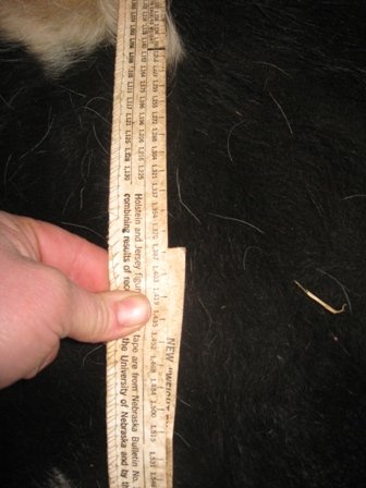 5_weight_tape_closeup.jpg