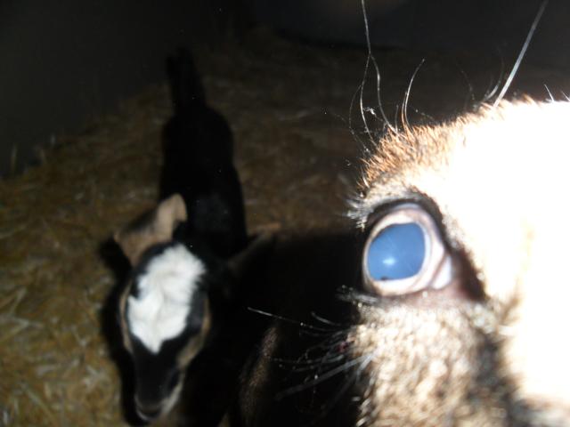 6210_sam_1418.jpg