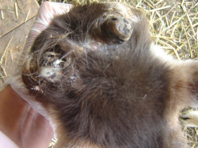 6544_dsc09112.jpg
