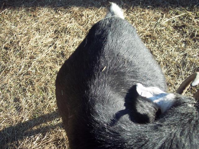 6788_1-23-13_011.jpg