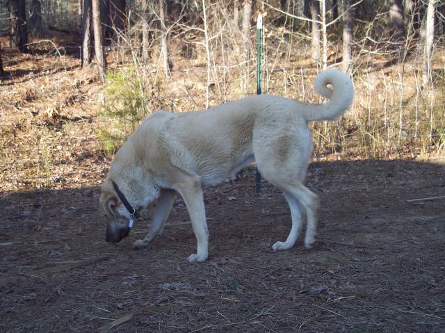 6788_1-23-13_028.jpg