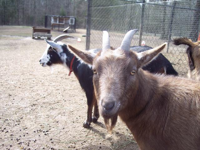 6788_2-10-13_031.jpg