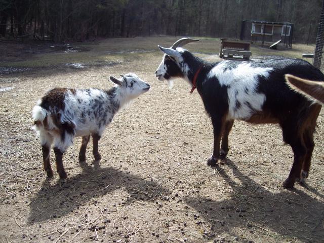 6788_2-10-13_032.jpg