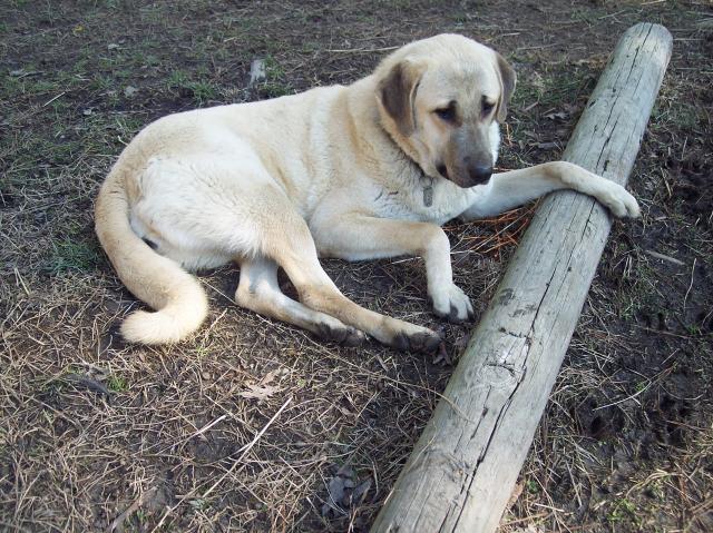 6788_2-10-13_071.jpg