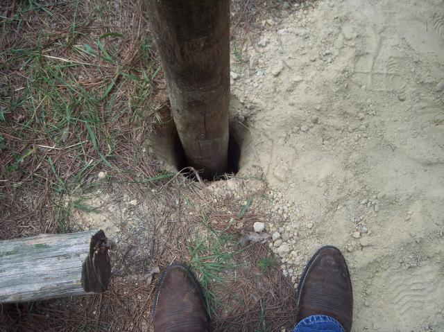 6788_august2012_050.jpg