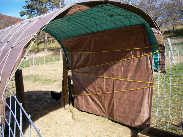 82_sheep_shelter_puppies_sheep_009.jpg