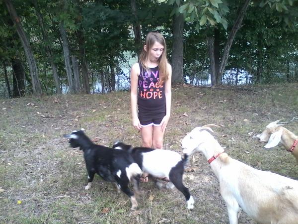 8498_audrey_goats.jpg