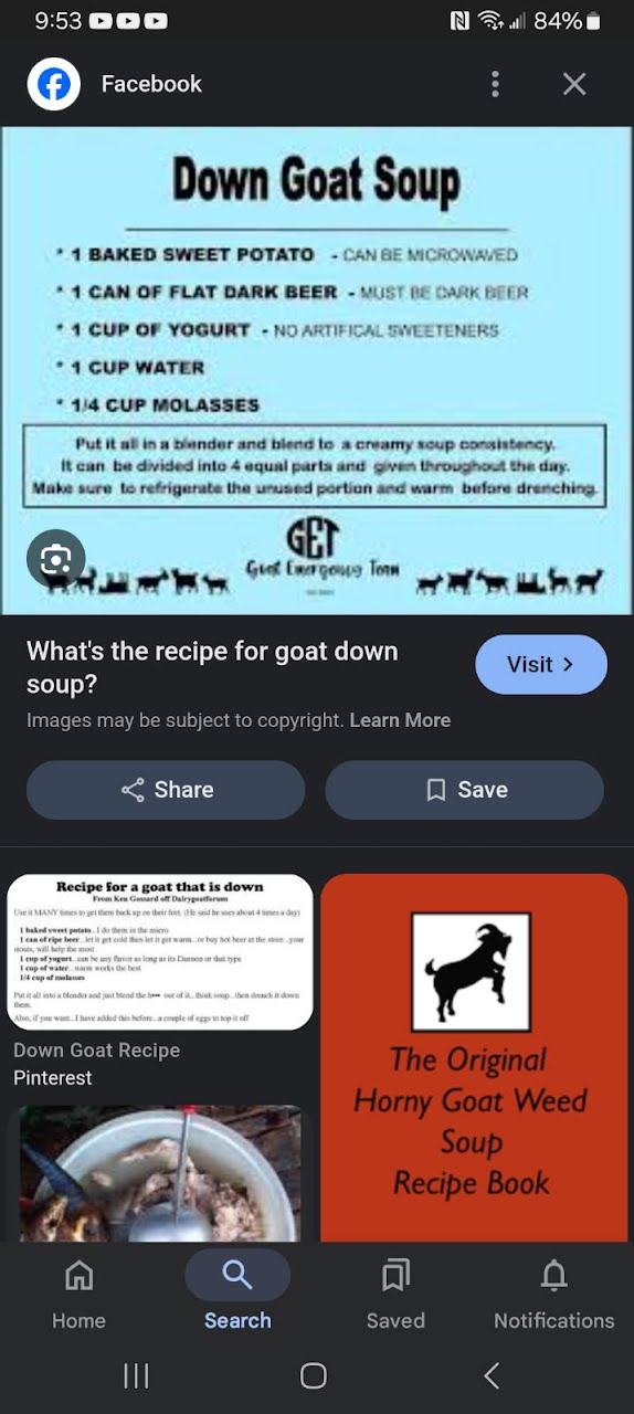 1000005969.jpg