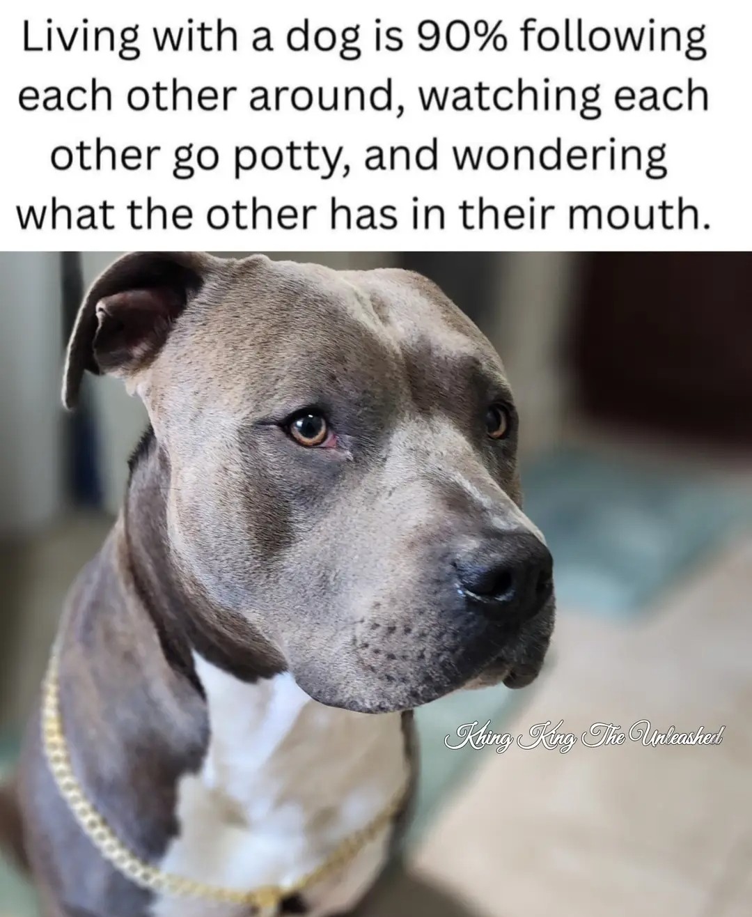 1000043629.jpg