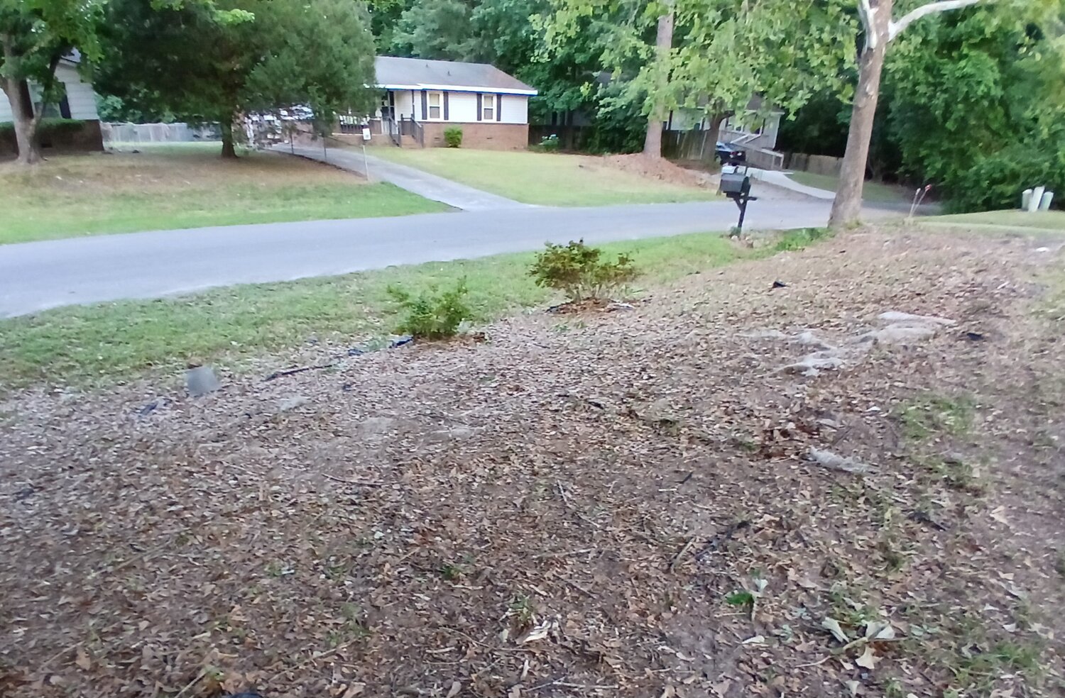 1000068660.jpg