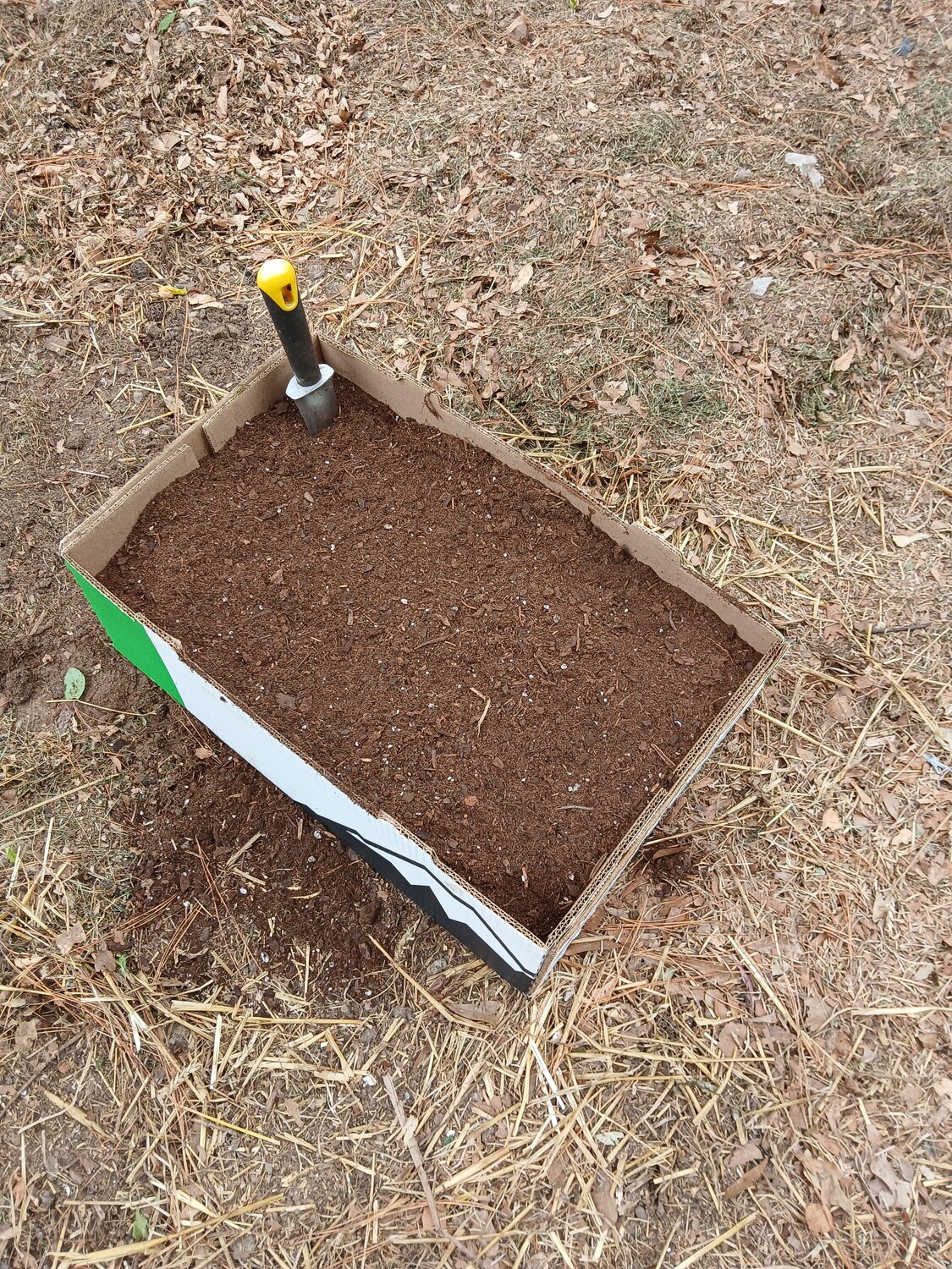 1000068700.jpg