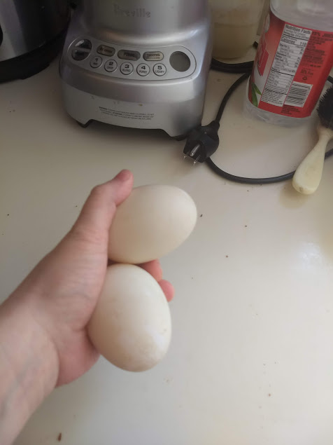 2 pekin egg.jpg