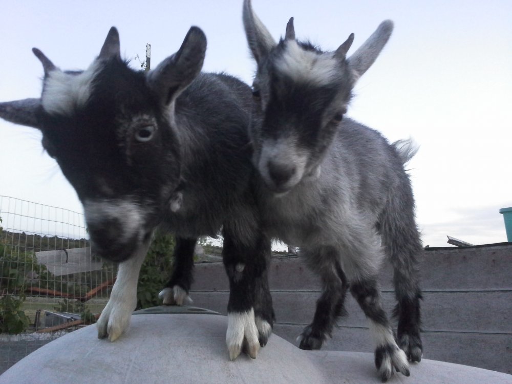 20140529_205122.jpg