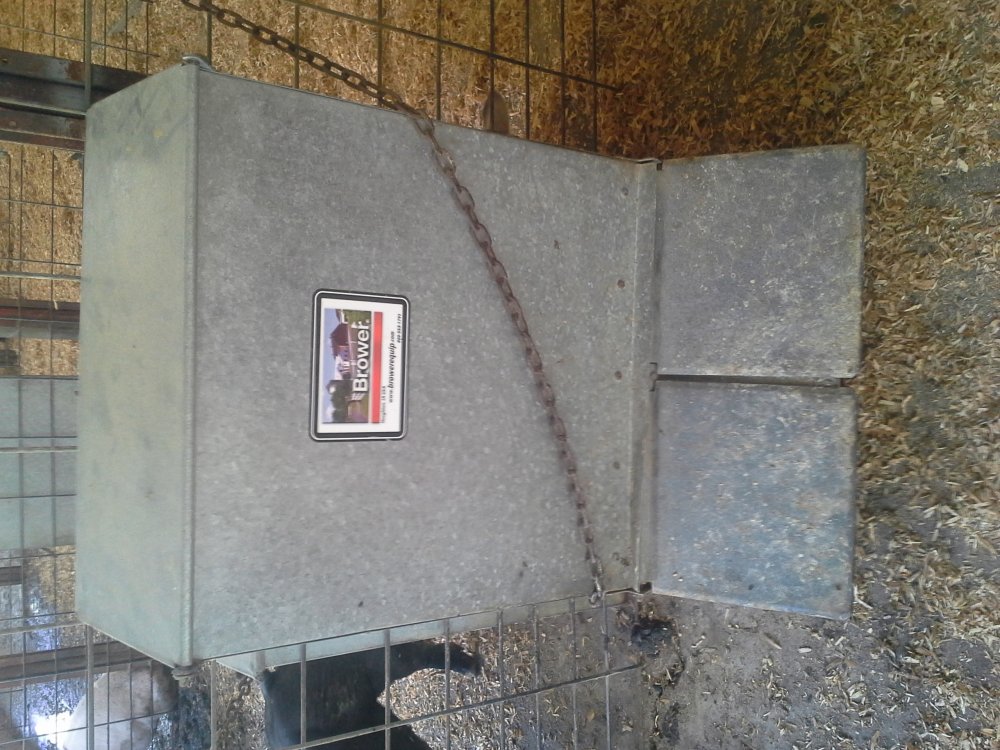 20150324_152159.jpg