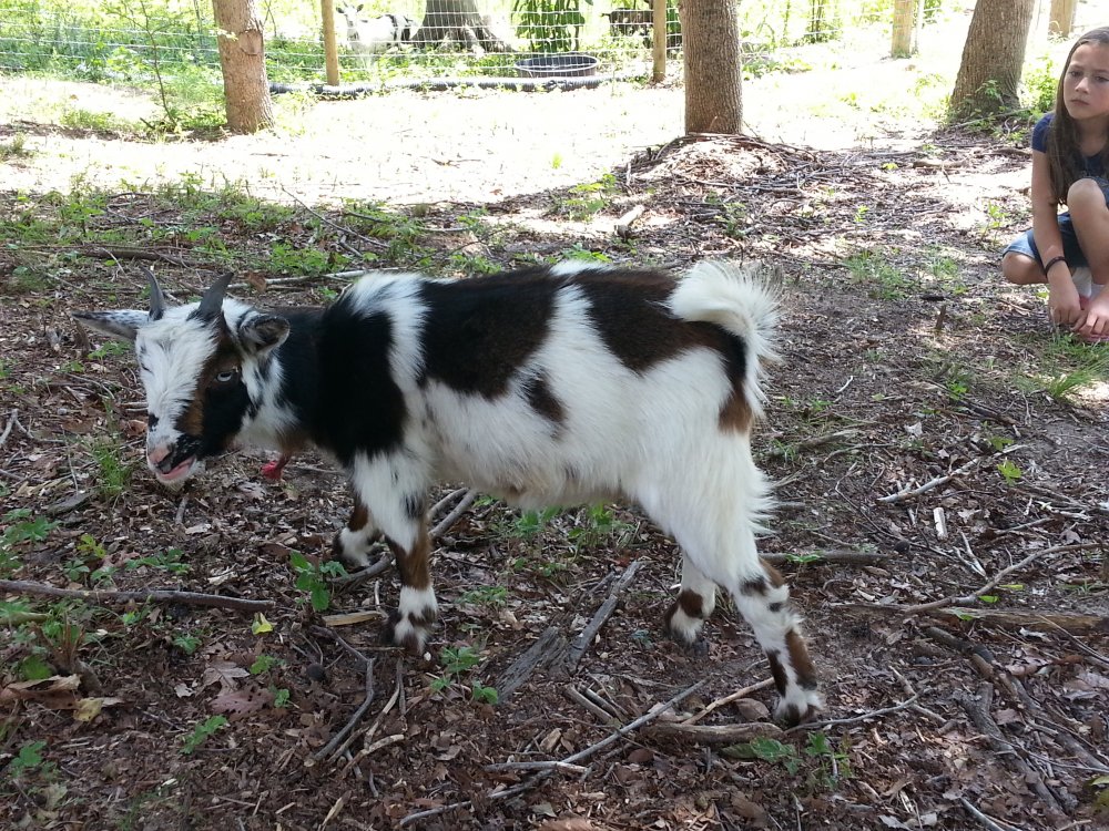20150612_133810.jpg