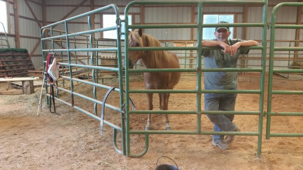 2016-05-14 19.08.07.jpg