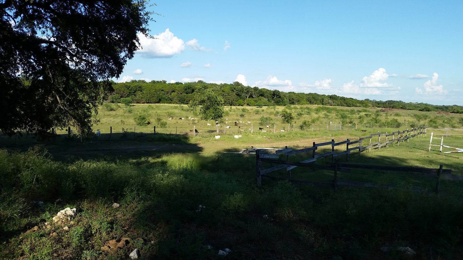20170628_185438.jpg