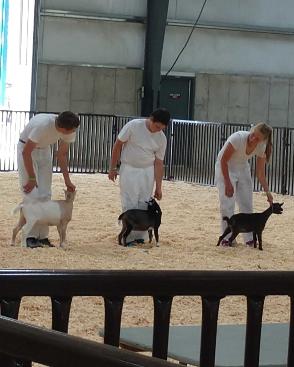 2018 Fair-Goat show-Int. kids-7-21-2018(c).jpg