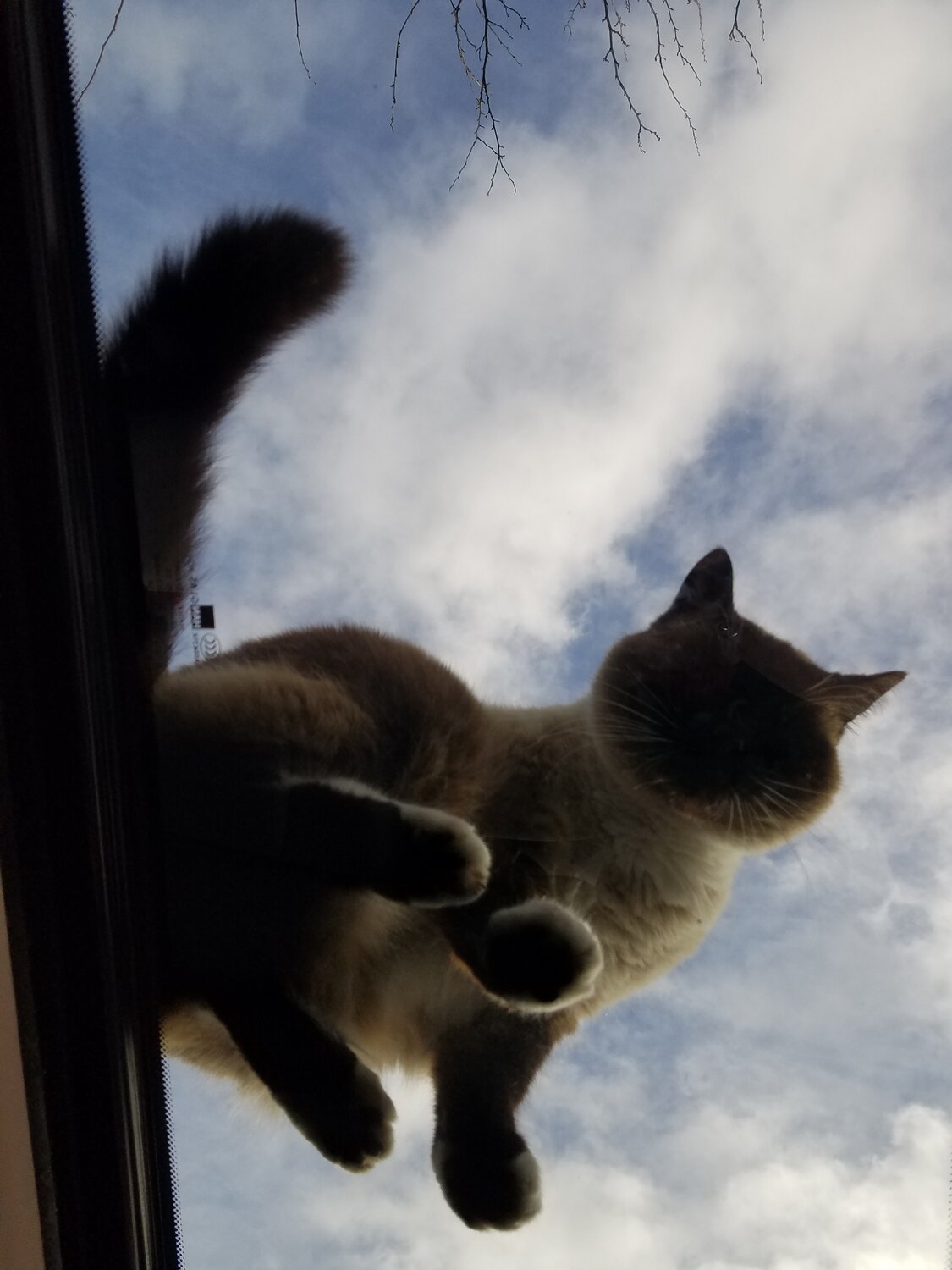20180308_084510.jpg